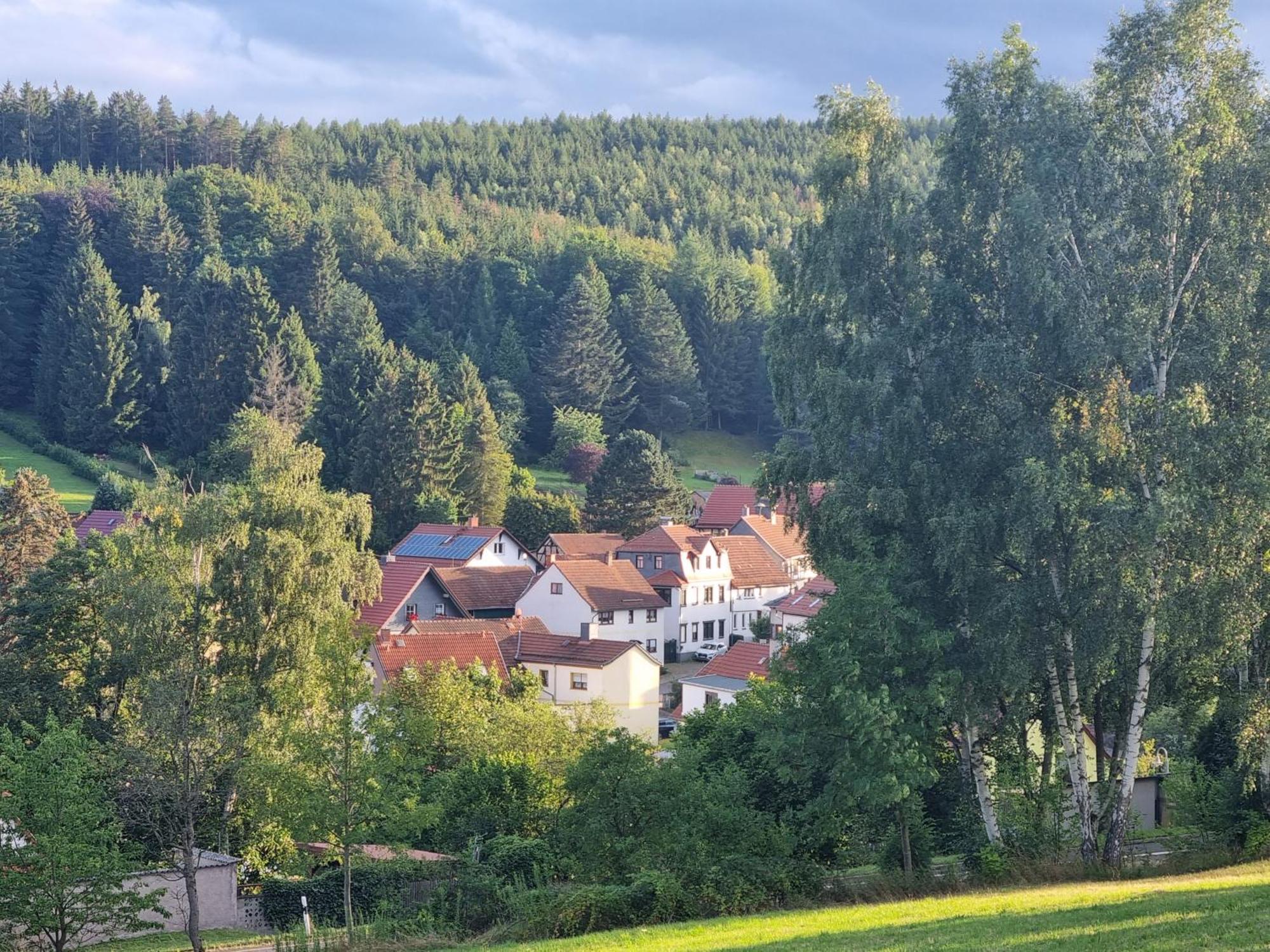 Superior - Ferienhaus Am Engelsbach Im Thueringer Wald 외부 사진